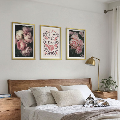 Lot de 3 tableaux pour salon Inscription sur les rêves de roses vintage