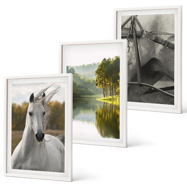 Lot de 3 tableaux pour salon Chevaux blancs nature de la rivière