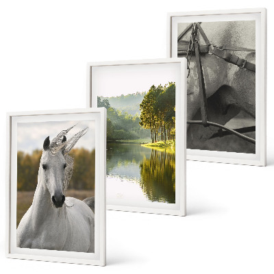 Lot de 3 tableaux pour salon Chevaux blancs nature de la rivière