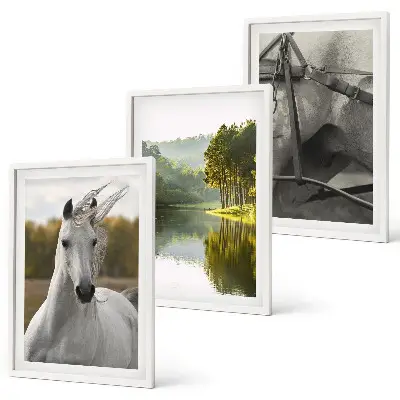 Lot de 3 tableaux pour salon représentant des chevaux blancs dans une rivière