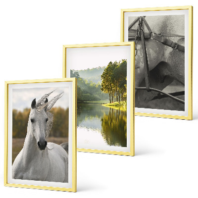 Lot de 3 tableaux pour salon Chevaux blancs nature de la rivière