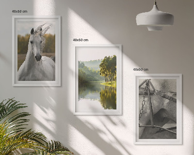 Lot de 3 tableaux pour salon Chevaux blancs nature de la rivière