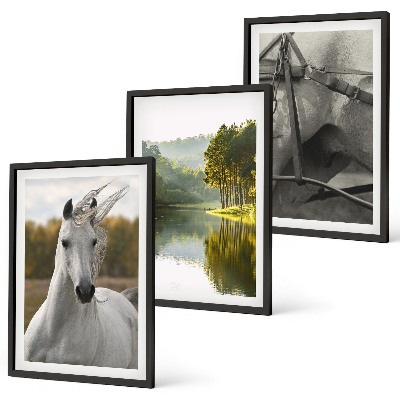 Lot de 3 tableaux pour salon Chevaux blancs nature de la rivière