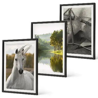 Lot de 3 tableaux pour salon représentant des chevaux blancs dans une rivière