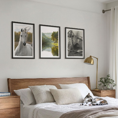 Lot de 3 tableaux pour salon Chevaux blancs nature de la rivière