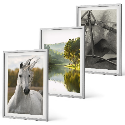 Lot de 3 tableaux pour salon Chevaux blancs nature de la rivière