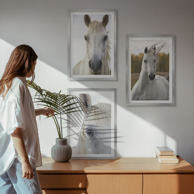 Cadre photo mural Chevaux blancs dans la nature