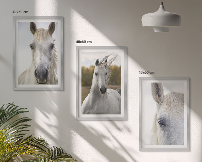 Cadre photo mural Chevaux blancs dans la nature