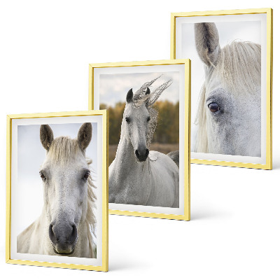 Cadre photo mural Chevaux blancs dans la nature