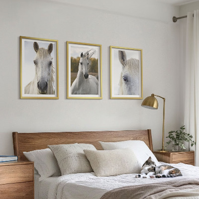 Cadre photo mural Chevaux blancs dans la nature