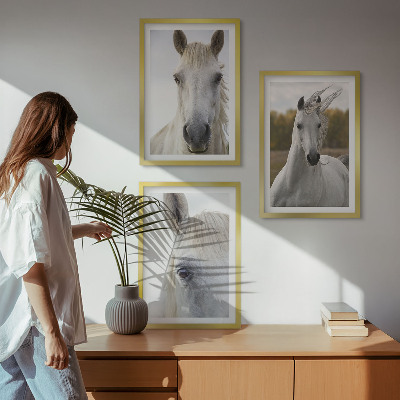 Cadre photo mural Chevaux blancs dans la nature