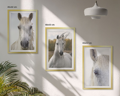 Cadre photo mural Chevaux blancs dans la nature