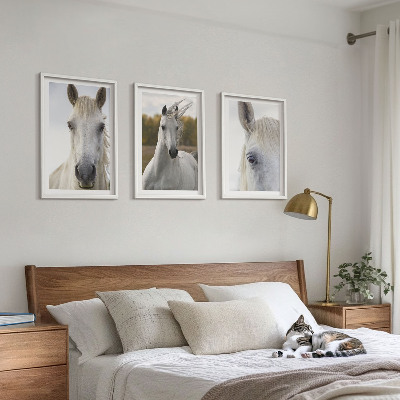 Cadre photo mural Chevaux blancs dans la nature