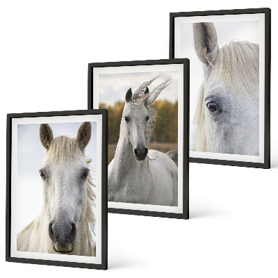 Cadre photo mural Chevaux blancs dans la nature