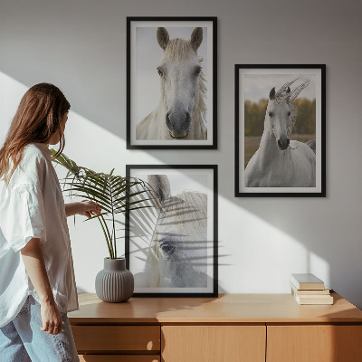 Cadre photo mural Chevaux blancs dans la nature