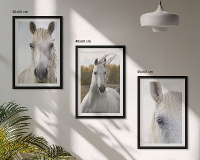 Cadre photo mural Chevaux blancs dans la nature