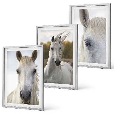 Cadre photo mural Chevaux blancs dans la nature