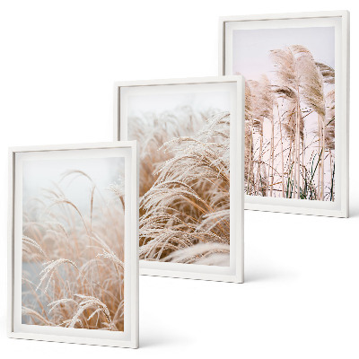 Lot de 3 tableaux pour salon Des champs d'herbe brune et beige
