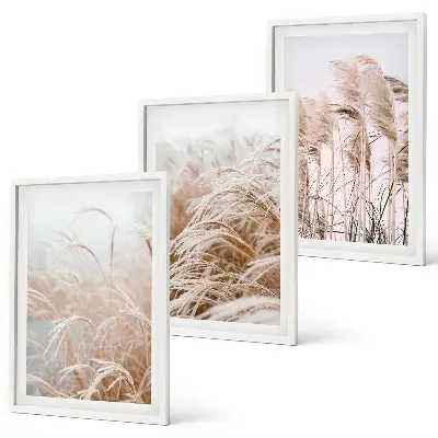 Lot de 3 tableaux pour salon représentant des champs d'herbe brune et beige