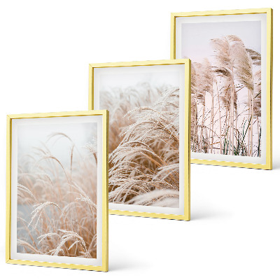 Lot de 3 tableaux pour salon Des champs d'herbe brune et beige