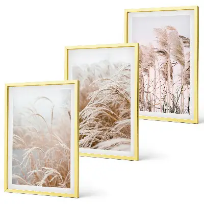 Lot de 3 tableaux pour salon représentant des champs d'herbe brune et beige