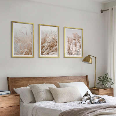 Lot de 3 tableaux pour salon Des champs d'herbe brune et beige