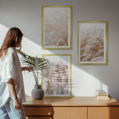 Lot de 3 tableaux pour salon Des champs d'herbe brune et beige