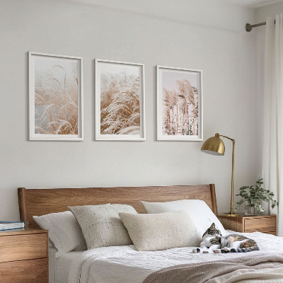 Lot de 3 tableaux pour salon Des champs d'herbe brune et beige