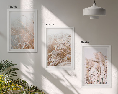 Lot de 3 tableaux pour salon Des champs d'herbe brune et beige