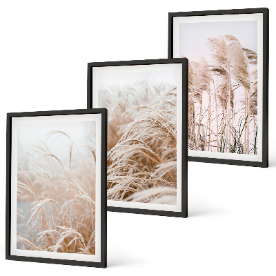 Lot de 3 tableaux pour salon Des champs d'herbe brune et beige