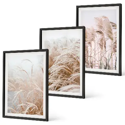 Lot de 3 tableaux pour salon représentant des champs d'herbe brune et beige