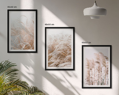 Lot de 3 tableaux pour salon Des champs d'herbe brune et beige