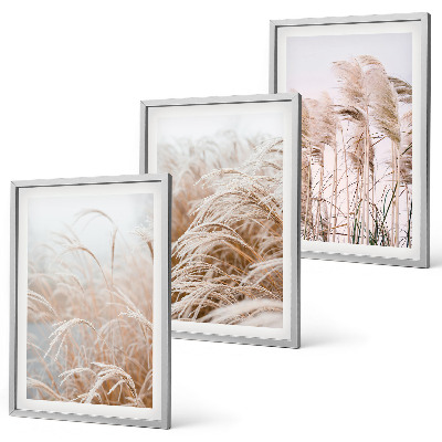 Lot de 3 tableaux pour salon Des champs d'herbe brune et beige