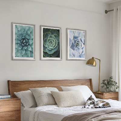 Lot de 3 tableaux pour salon Plantes succulentes vert turquoise