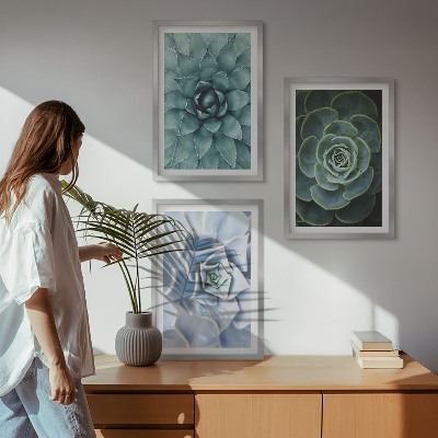 Lot de 3 tableaux pour salon Plantes succulentes vert turquoise
