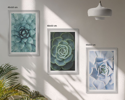 Lot de 3 tableaux pour salon Plantes succulentes vert turquoise