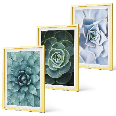 Lot de 3 tableaux pour salon Plantes succulentes vert turquoise