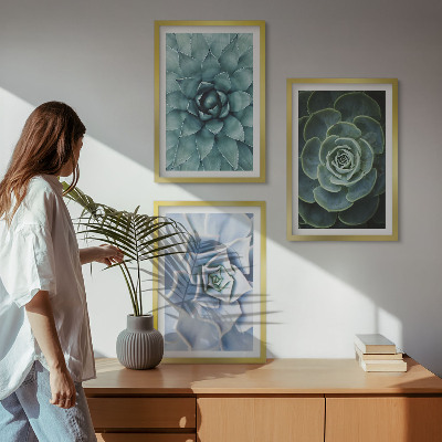 Lot de 3 tableaux pour salon Plantes succulentes vert turquoise