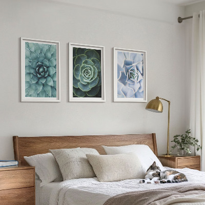 Lot de 3 tableaux pour salon Plantes succulentes vert turquoise