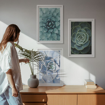 Lot de 3 tableaux pour salon Plantes succulentes vert turquoise