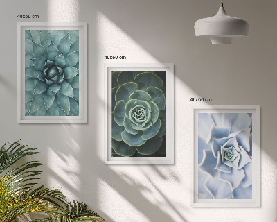 Lot de 3 tableaux pour salon Plantes succulentes vert turquoise