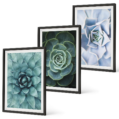 Lot de 3 tableaux pour salon Plantes succulentes vert turquoise