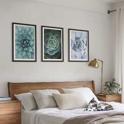 Lot de 3 tableaux pour salon Plantes succulentes vert turquoise