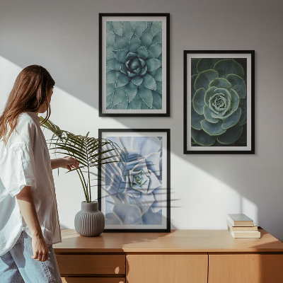 Lot de 3 tableaux pour salon Plantes succulentes vert turquoise