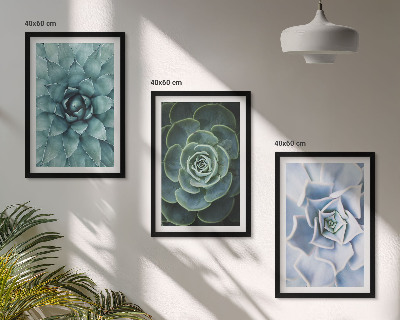 Lot de 3 tableaux pour salon Plantes succulentes vert turquoise