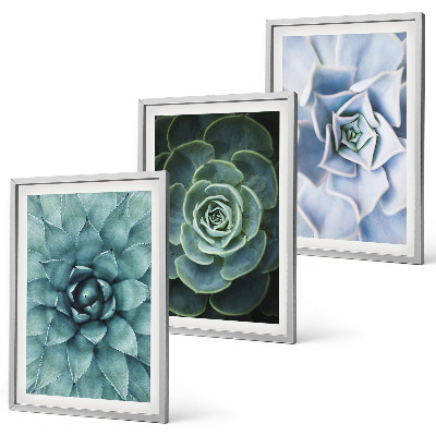 Lot de 3 tableaux pour salon Plantes succulentes vert turquoise