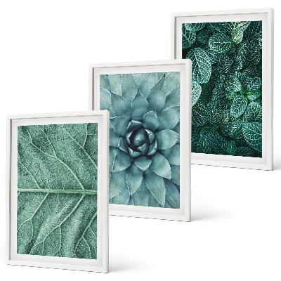 Cadre photo mural Gros plan sur des feuilles de plante