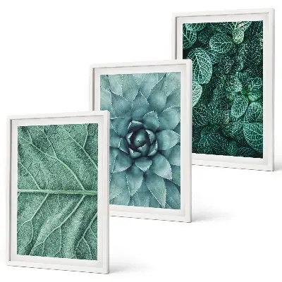 Cadre photo mural motif feuilles de plante en gros plan