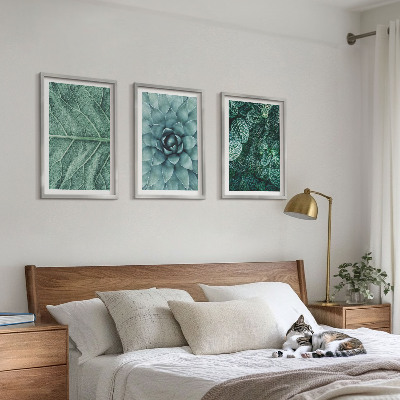 Cadre photo mural Gros plan sur des feuilles de plante