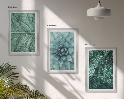 Cadre photo mural Gros plan sur des feuilles de plante